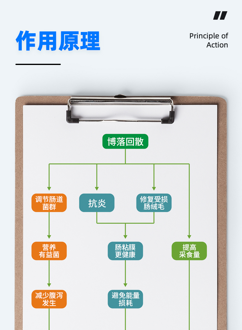 博落回散_06.jpg